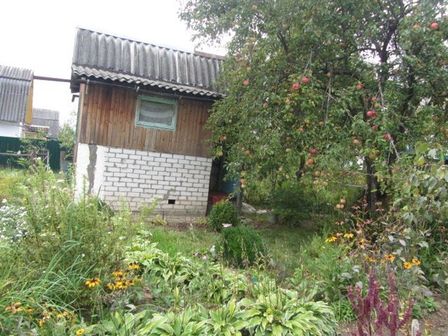 Дом 1-комн. 15 м² за 290 730 ₽ в Могилёв — фото 1