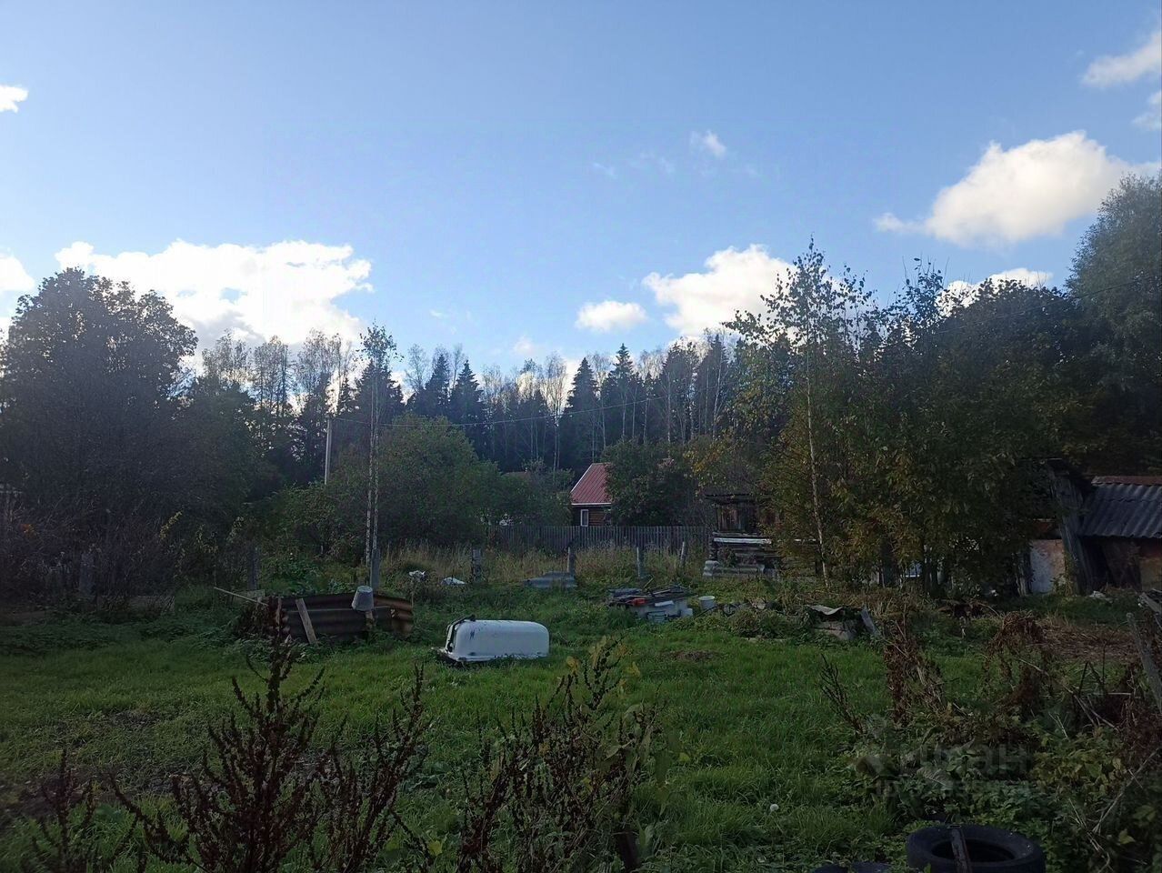 Комната 1-комн. 30 м² в Толмачево городской поселок — фото 11 из 12