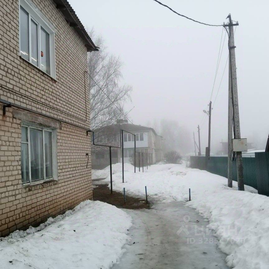 Квартира 3-комн. 60.6 м² в с. Лопатино — фото 28 из 28