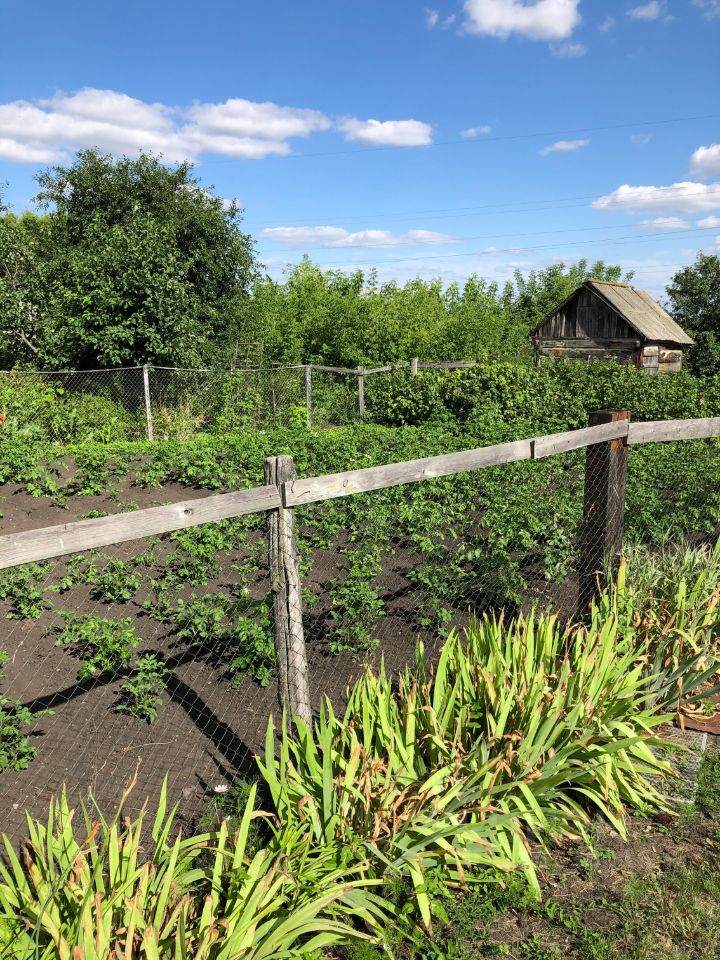 Квартира 2-комн. 43.2 м² в Госсортучасток — фото 17 из 23