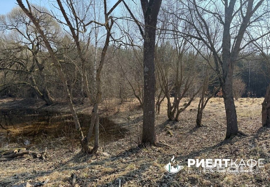 Дом 35.9 м² в Красновцы — фото 12 из 15