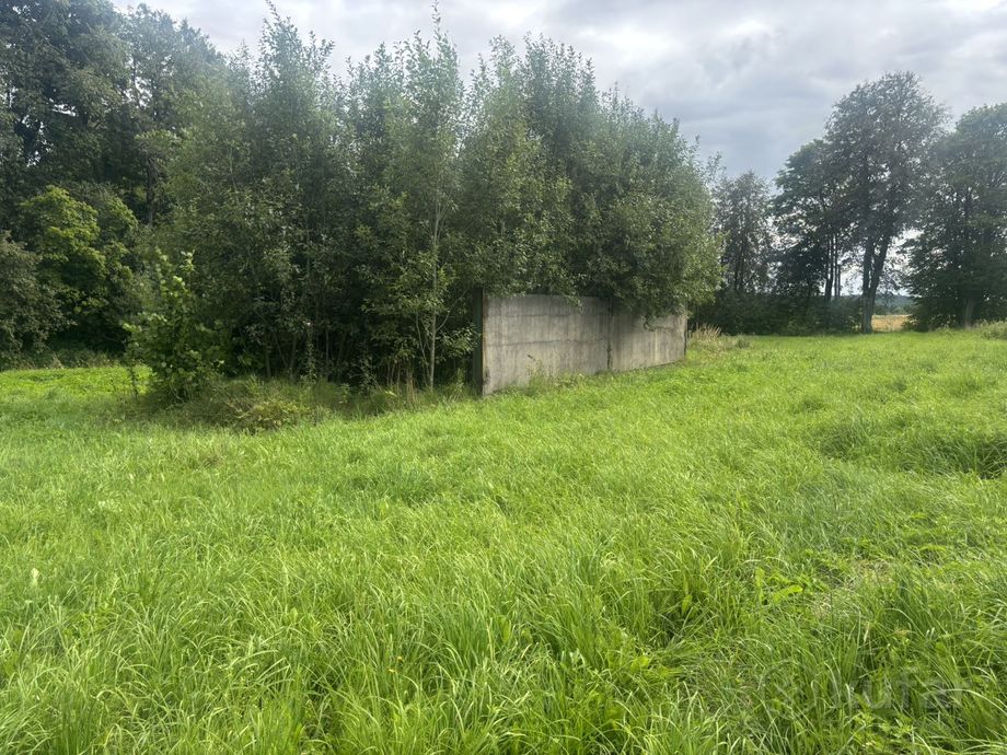 Дом 3-комн. 50 м² в Липовка — фото 3 из 11