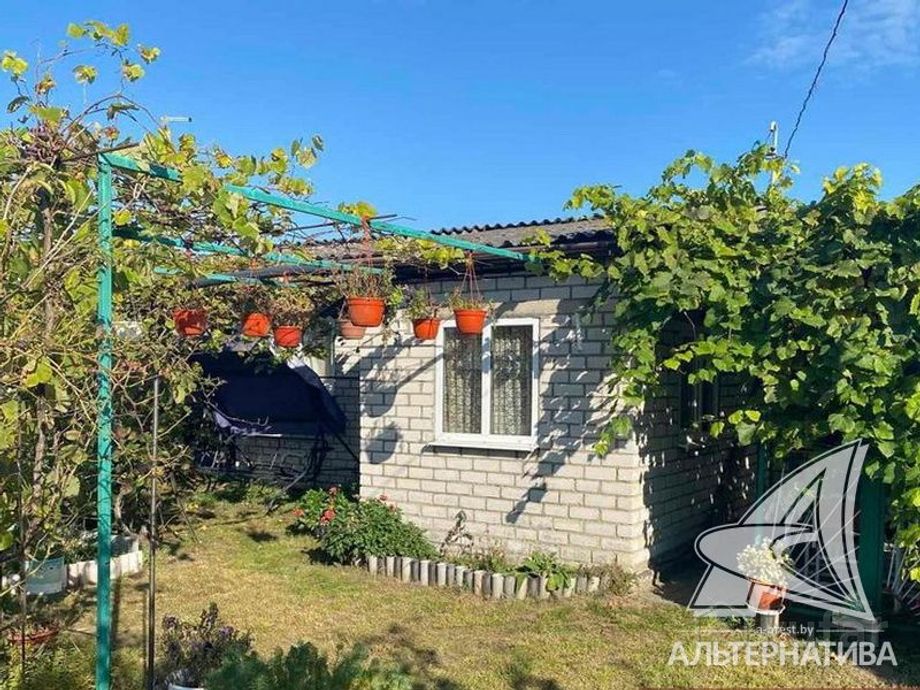 Дом 21.4 м² в Брестский — фото 1 из 10