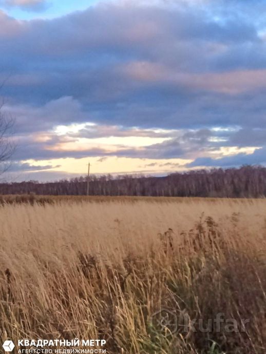 Дом 45.4 м² в Козлы — фото 6 из 12