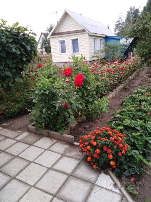 Дом 2-комн. 30 м² в Буда-Кошелёвский — фото 5 из 9