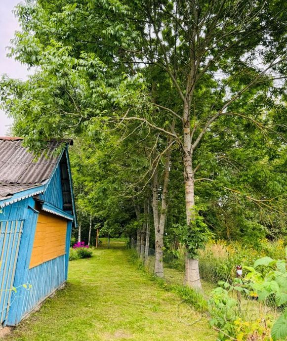 Дом 2-комн. 1200 м² в Болюто — фото 4 из 15