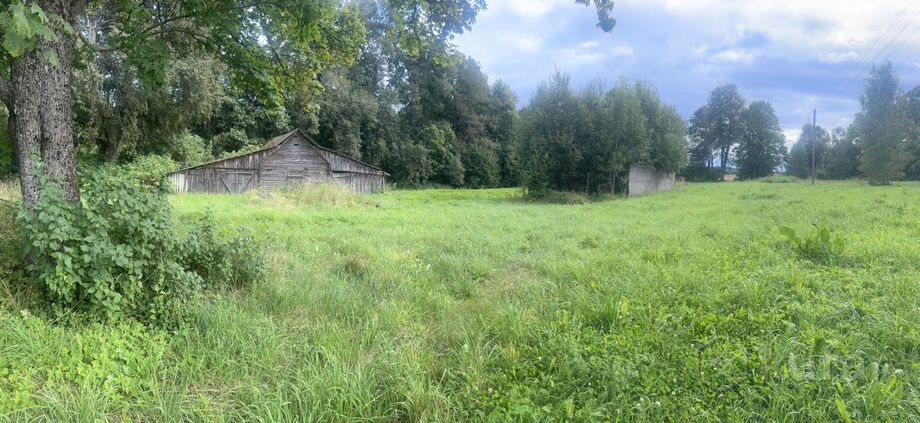 Дом 3-комн. 50 м² в Липовка — фото 7 из 11