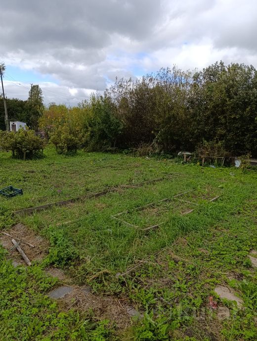 Дом 35 м² в Витебск — фото 1 из 7