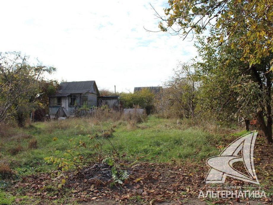 Дом 6.4 м² в Брестский — фото 8 из 12