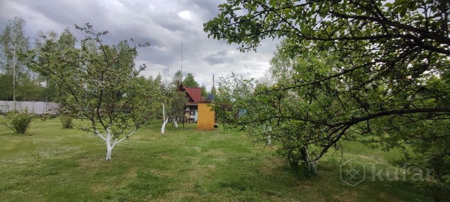 Дом 1-комн. 25.3 м² в Гомельский — фото 17 из 32