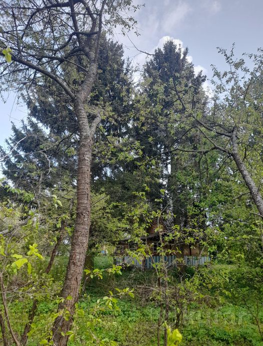 Дом 1-комн. 30 м² в Витебский — фото 6 из 7