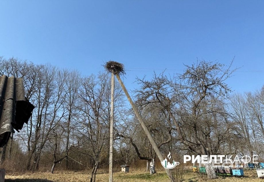 Дом 35.9 м² в Красновцы — фото 8 из 15