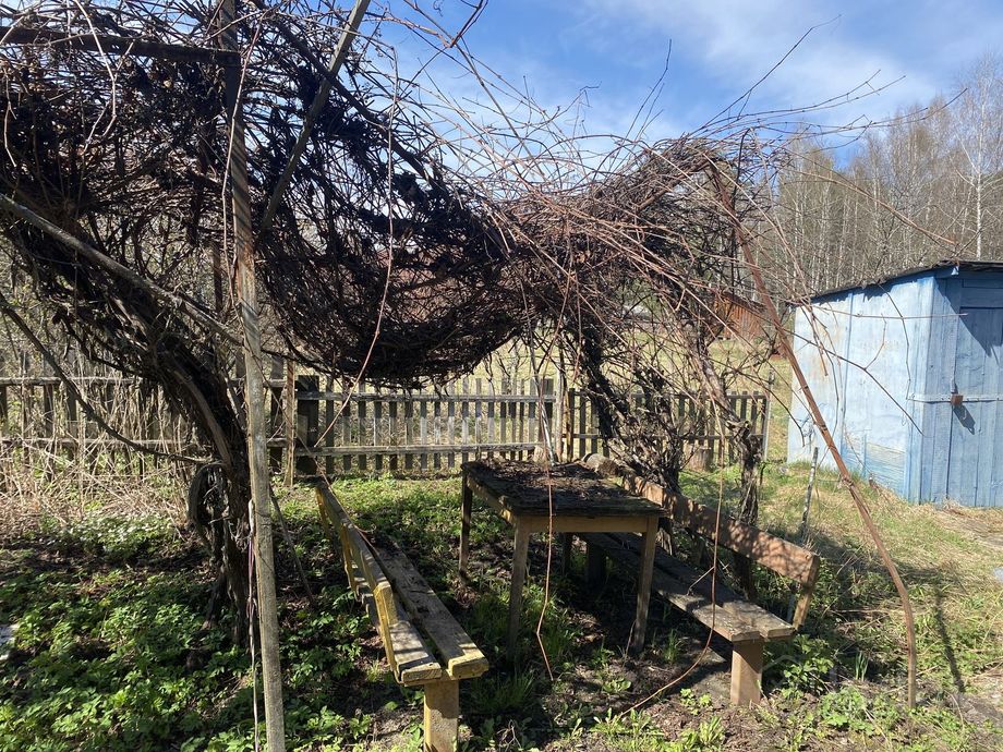 Дом 1-комн. 25.3 м² в Гомельский — фото 28 из 32