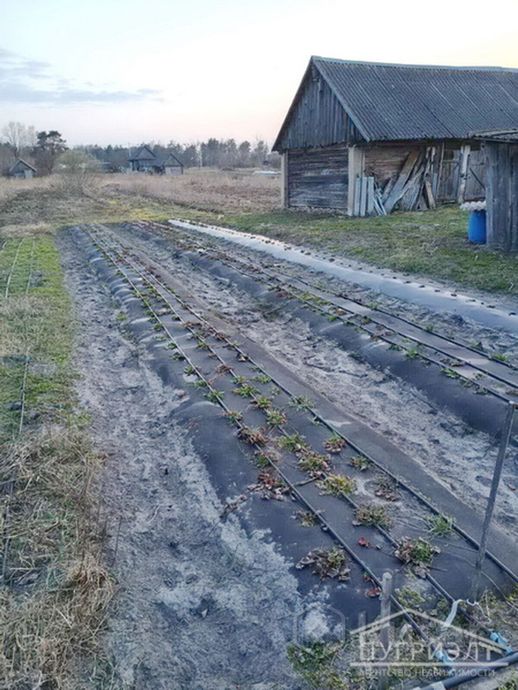 Дом 42.3 м² в Озаричи — фото 3 из 13