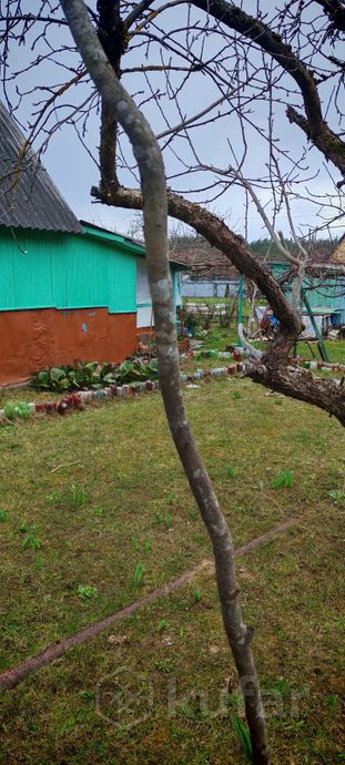 Дом 1-комн. 6 м² в Лидский — фото 3 из 9