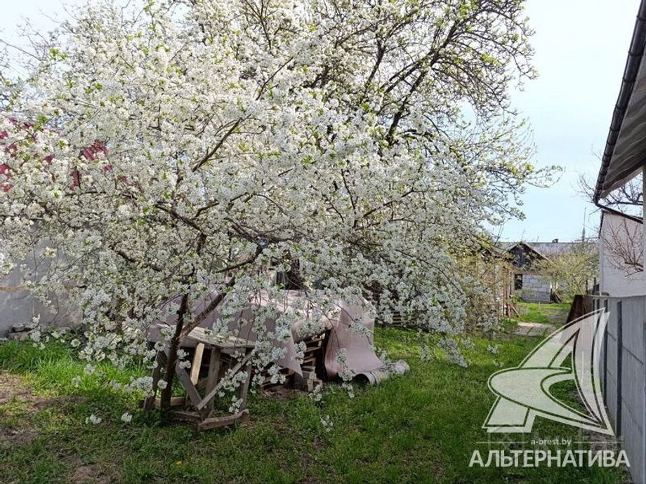 Дом 8.7 м² в Брест — фото 11 из 12