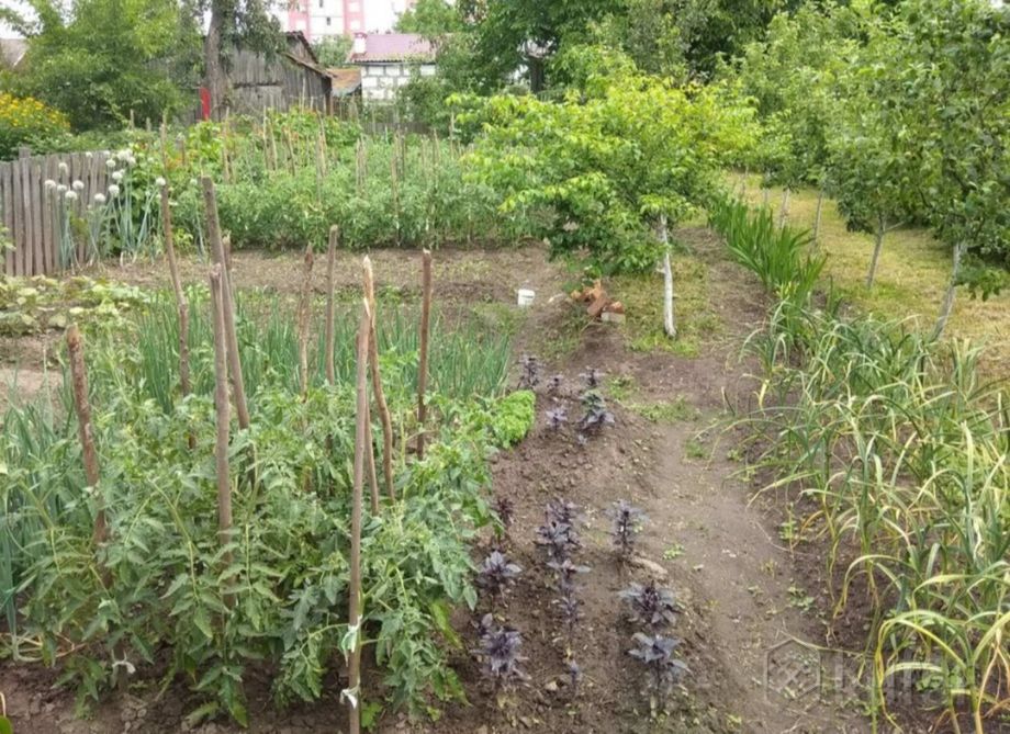 Дом 1-комн. 28 м² в Пинск — фото 3 из 7