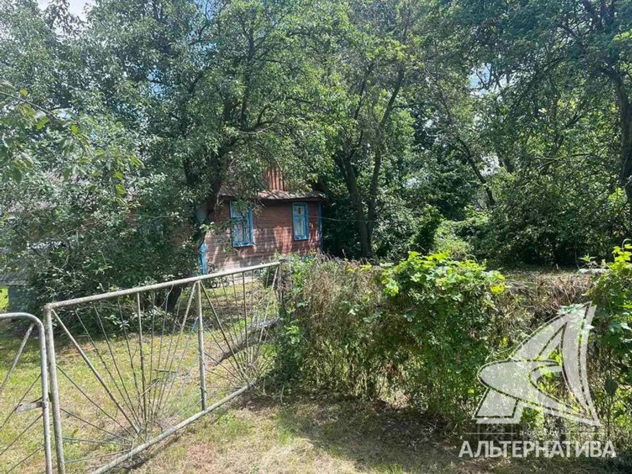 Дом 55.1 м² в Жабинковский — фото 13 из 14