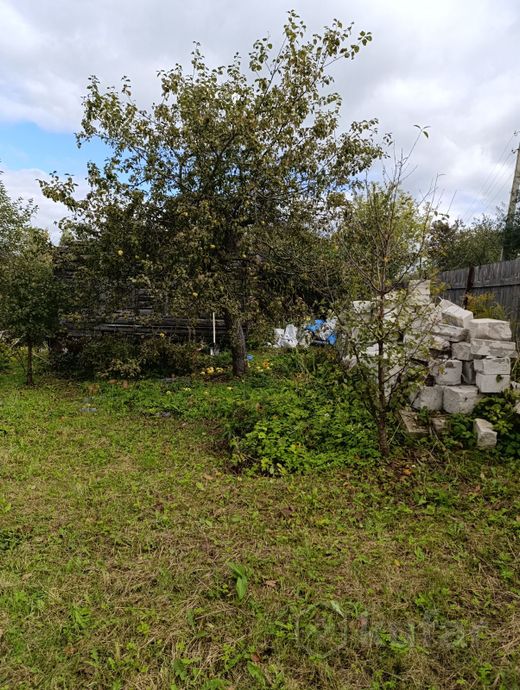 Дом 35 м² в Витебск — фото 6 из 7